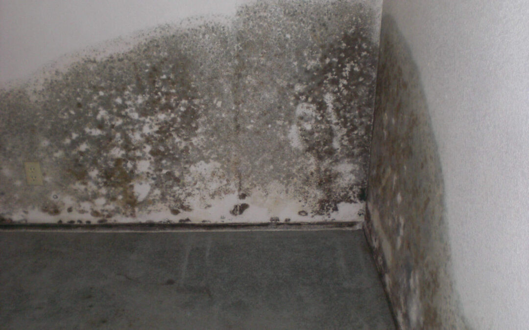 Nedves falak utólagos szigetelése